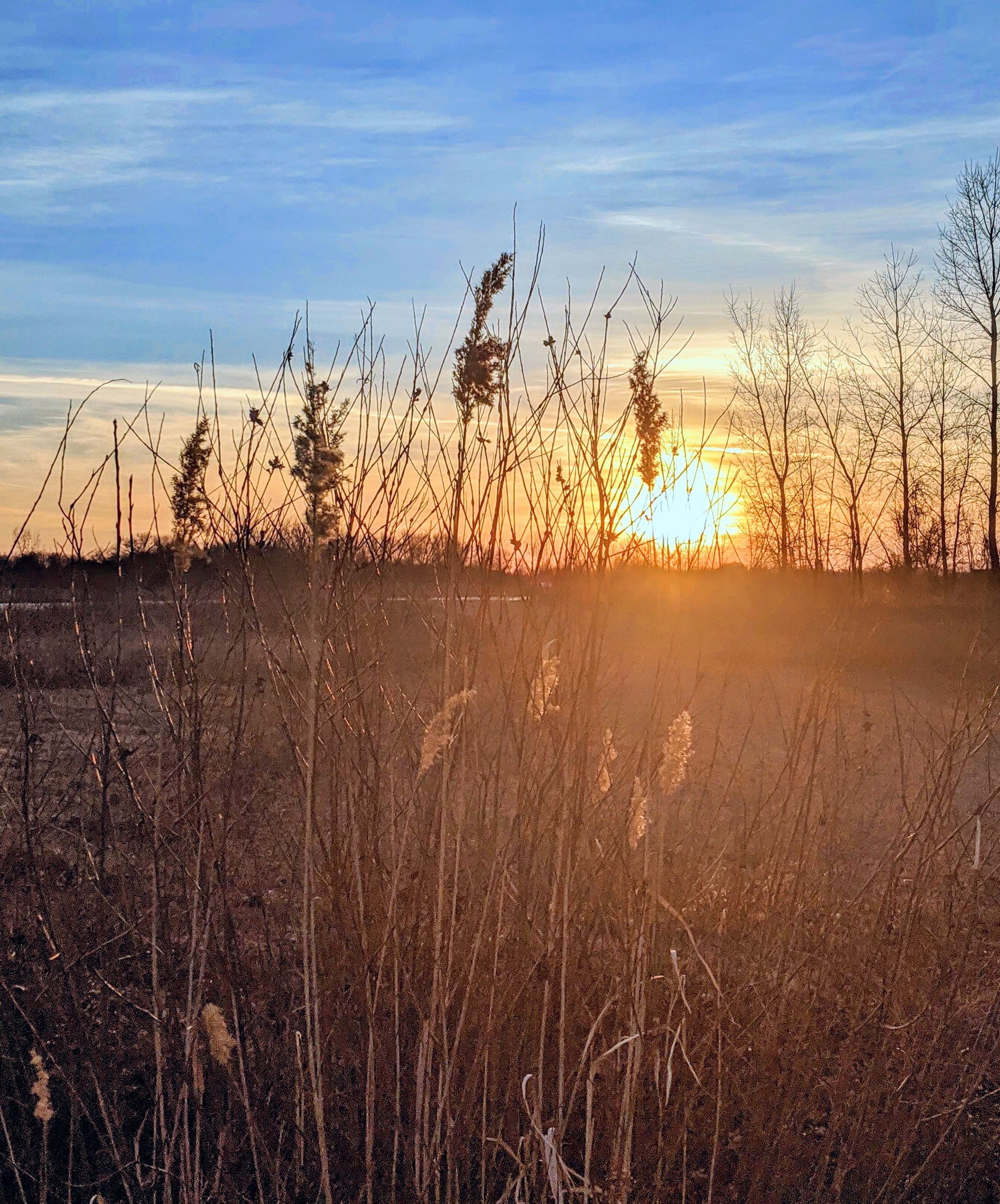 Clinton Lakes Fall-Winter 5