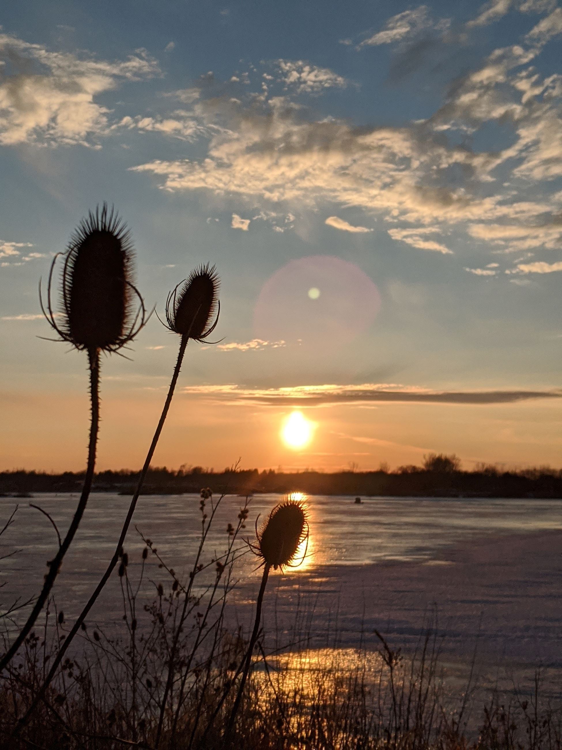 Clinton Lakes Fall-Winter 6