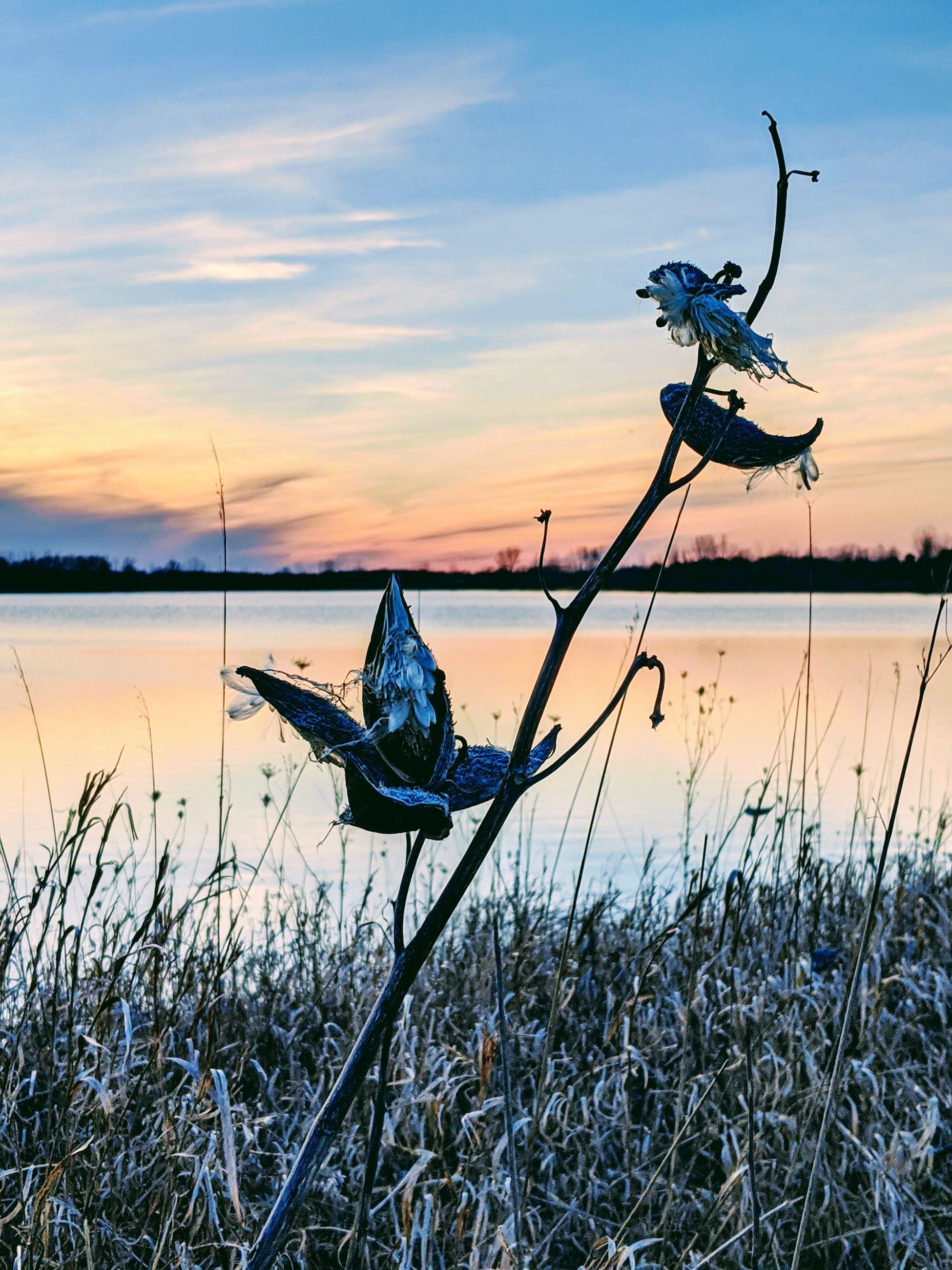 Clinton Lakes Fall-Winter 9