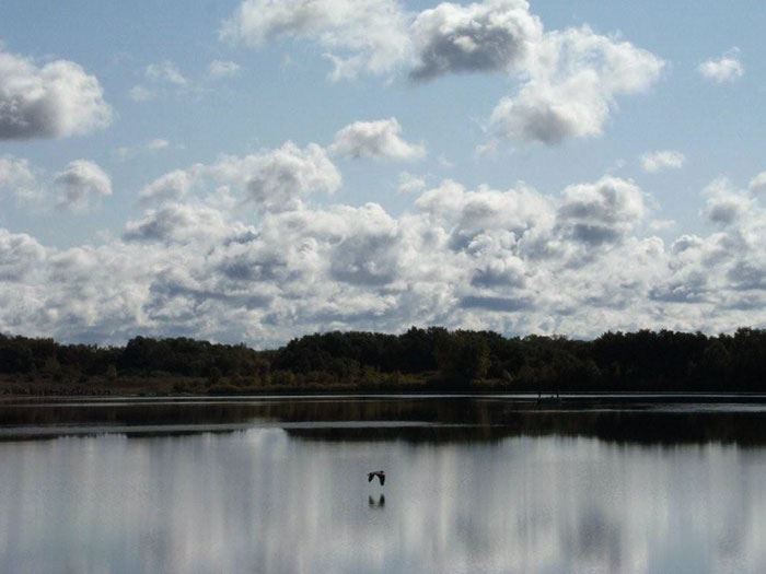 Photo of Sleepy Hollow State Park Lake and Background Trees Opens in new window