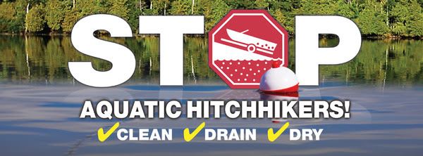 stop aquatic hitchhikers logo